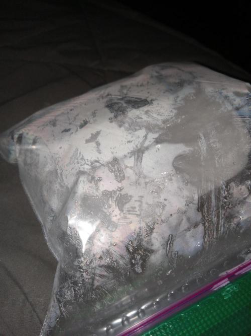 banana daddy rbx2. Week 0 - i put seed in between damp paper towels and in a sandwich baggie