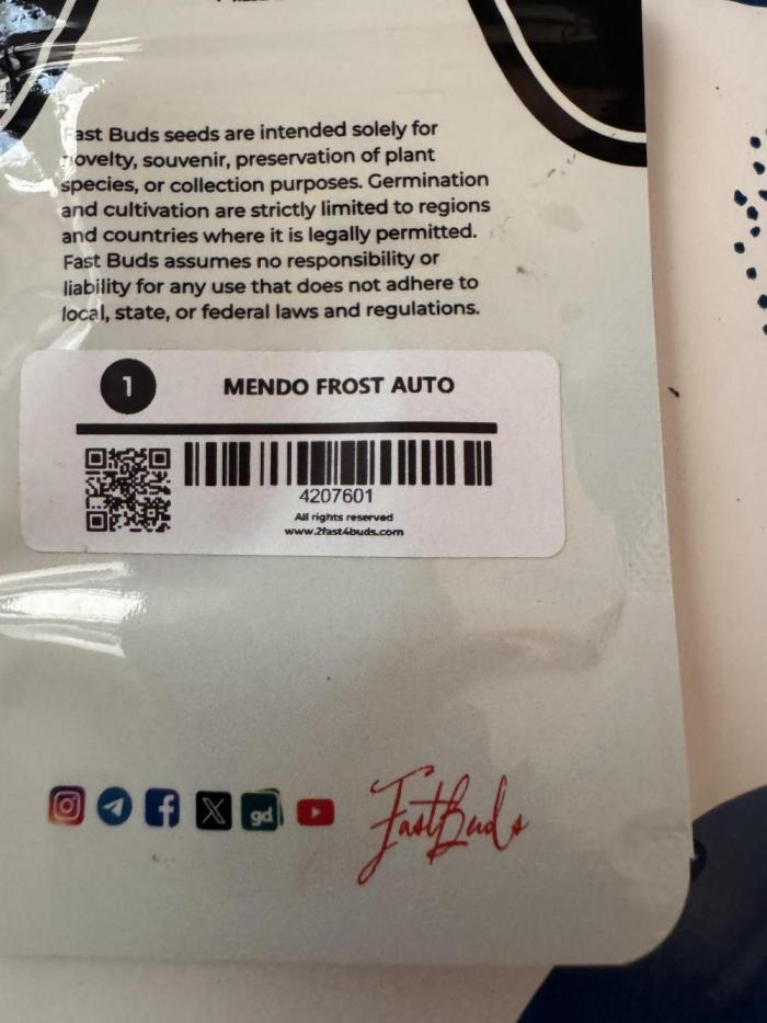 Mendo Frost Auto from Fast Buds 6500 ft. Week 0 - 3 gallon. Mystery Box Seed. 
