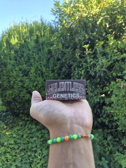 Relentless Genetics x Boujee B!tch & STC. Week 6
