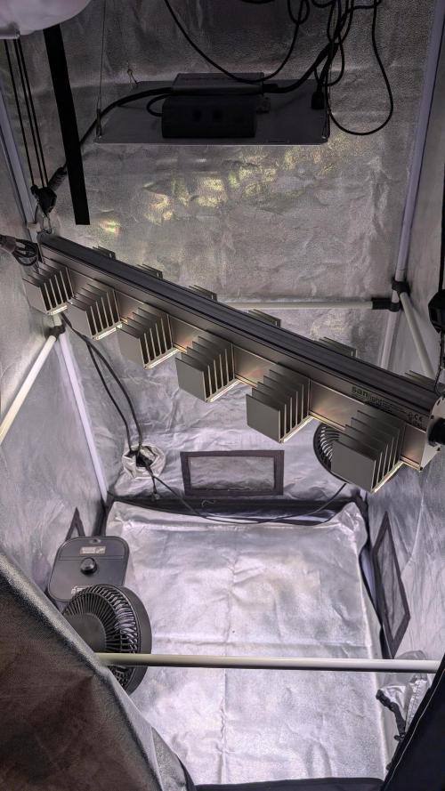 Z x Papaya  x FrescaMelon - first Z grow. Week 0 - quick glance at the setup before the grow