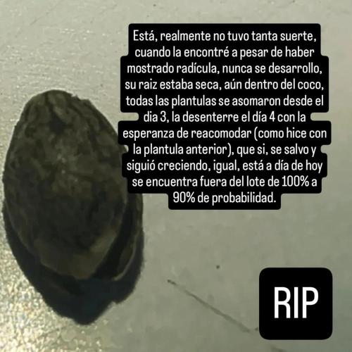 Punto Rojo V2 de Black Tuna. Week 1