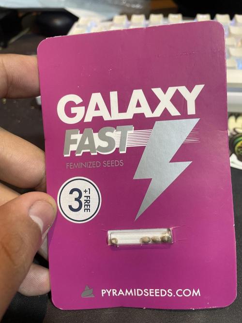 Galaxy + SF. Week 0