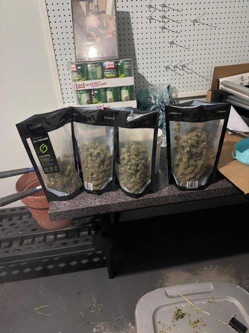First autogrow. Week 10