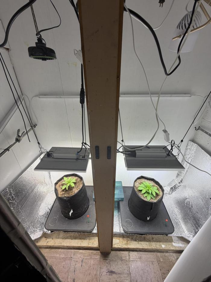 Amsterdam ambition. Week 3 - SCK left, WW right