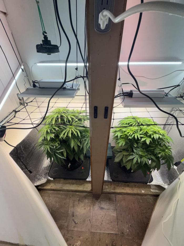 Amsterdam ambition. Week 6 - SCK Left, WW Right