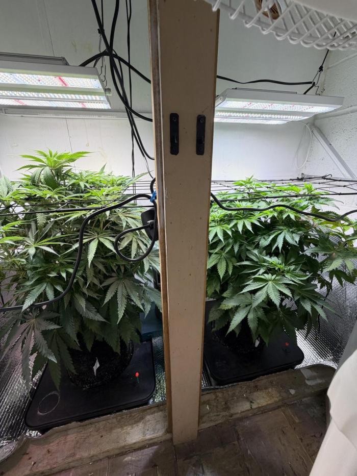 Amsterdam ambition. Week 7 - SCK Left, WW Right