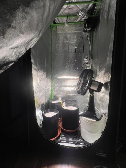 First Time Growing. Week 0 - my setup, haven't installed the carbon filter and 2nd QB yet