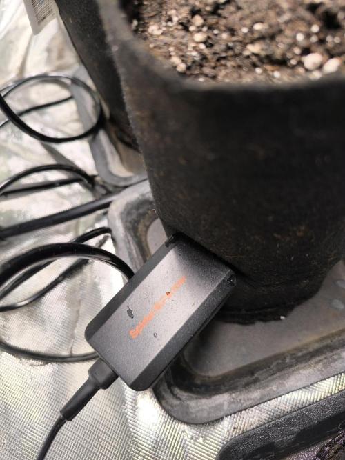 First GrowDiarie But not the First Grow. Week 1 - Soil Sensor