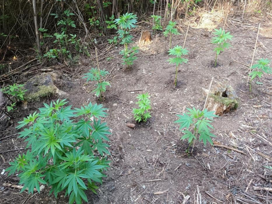 Outdoor guerilla 2026. Week 4