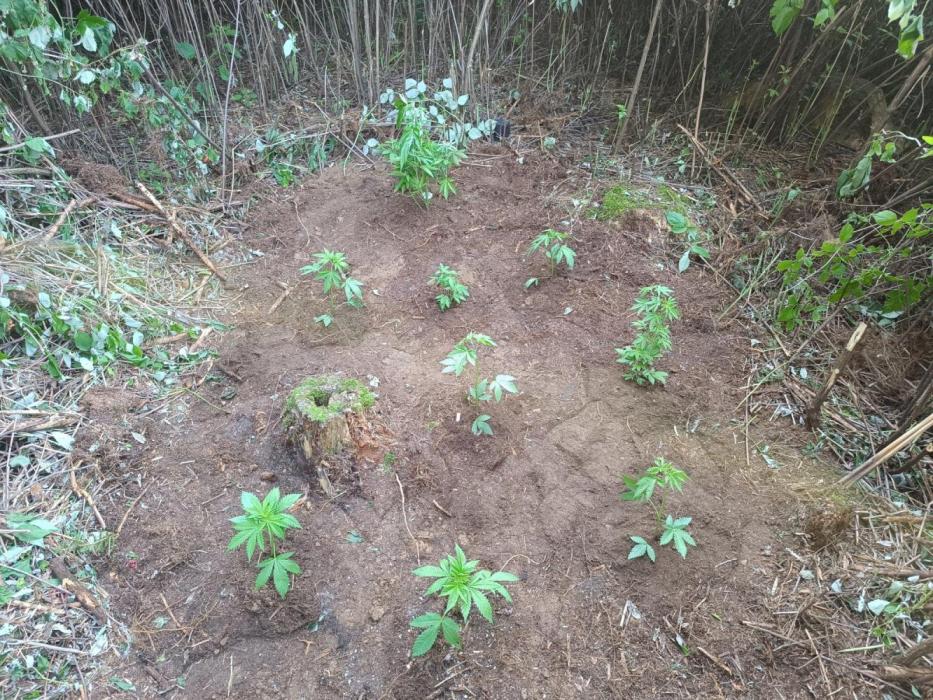 Outdoor guerilla 2026. Week 3