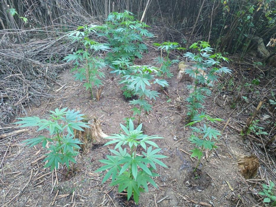 Outdoor guerilla 2026. Week 6