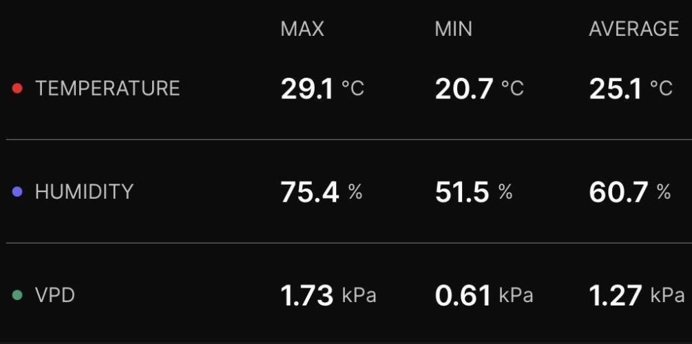 Cloudline Pro T4. Week 12
