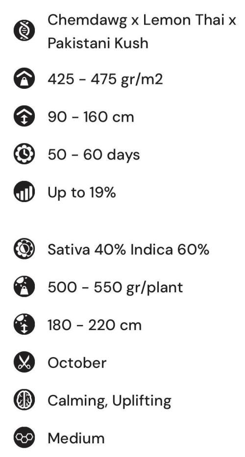 Ionbeam S16 Full Spectrum LED. Week 0