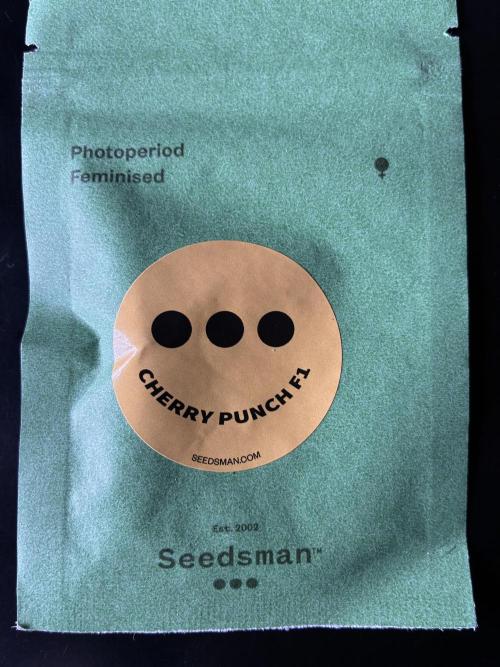 Cherry Punch F1. Week 1
