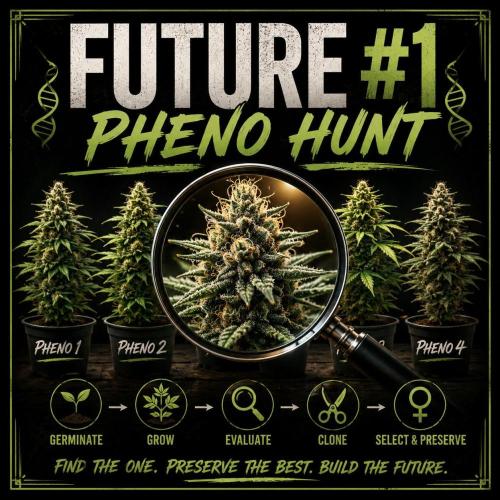 Future #1. Week 0