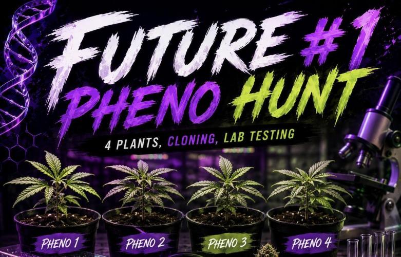 Future #1. Week 0