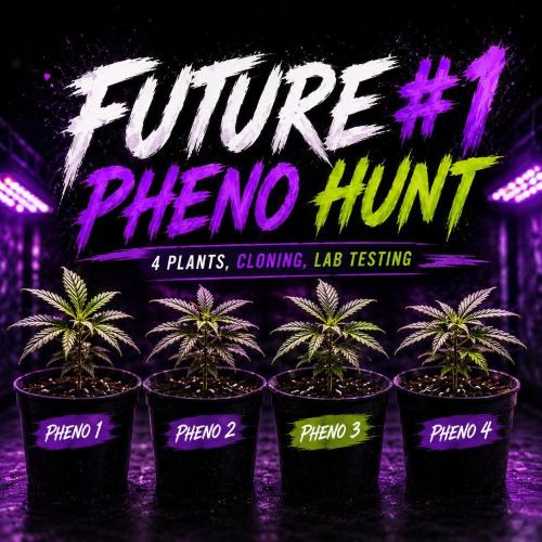 Future #1. Week 0