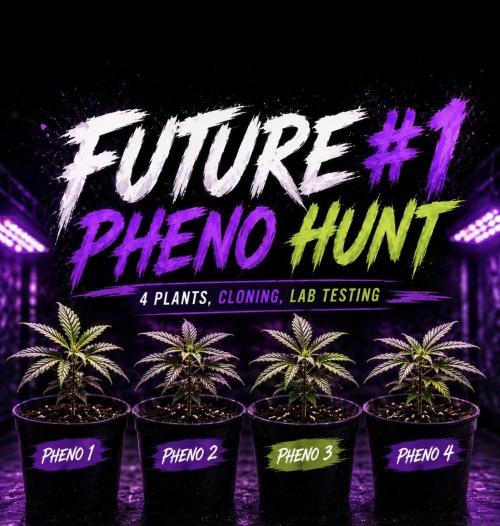 Future #1. Week 0