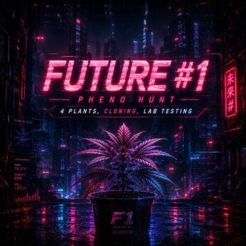 Future #1. Week 0