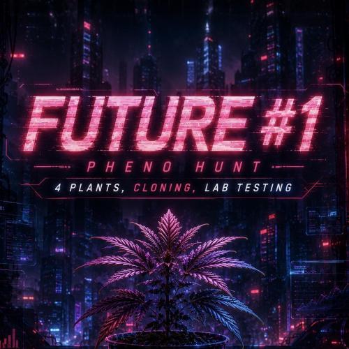 Future #1 Pheno Hunt w/ Lab Testing. Week 0