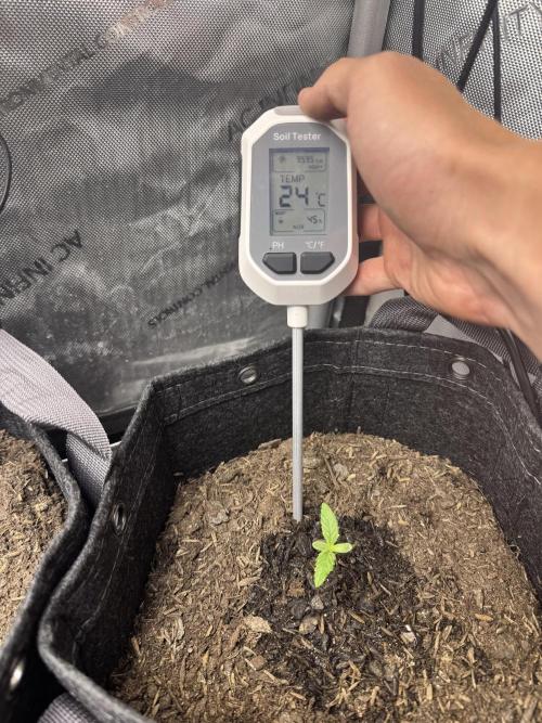 💜⛽️ Lilac Diesel Rbx2 Photo - AB Testing. Week 1