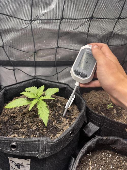 🍇 Planet of the Grapes Auto + Lab Test. Week 2