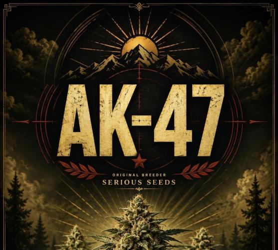 AK 47. Week 0