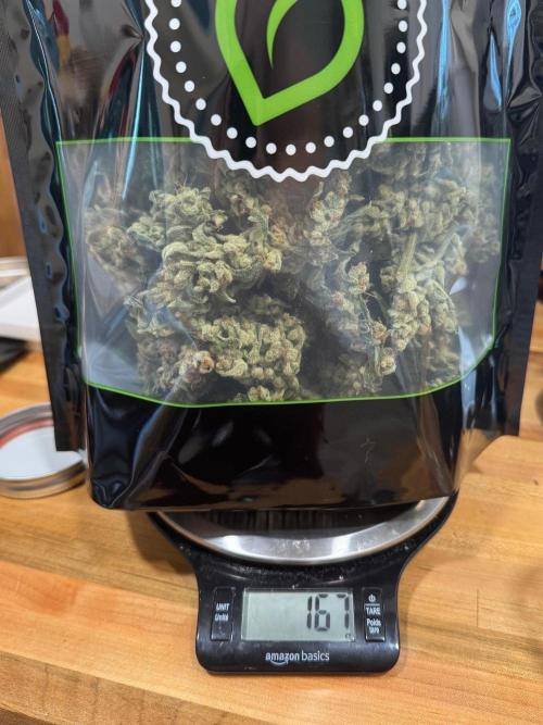🍇 Planet of the Grapes Auto. Week 13