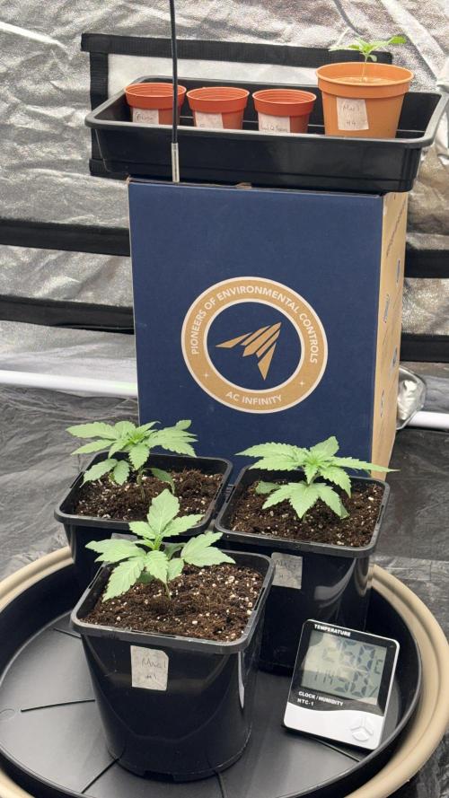 MAC 1 - F1 HYBRID. Week 1