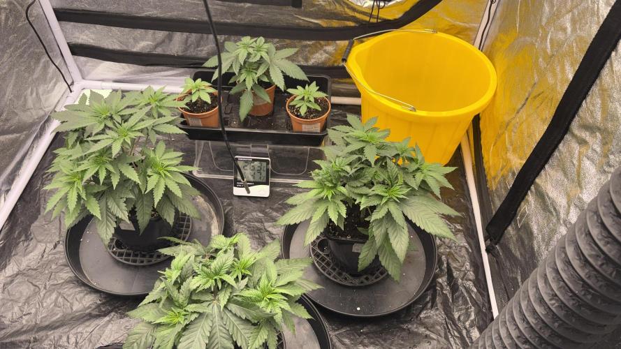 MAC 1 - F1 HYBRID. Week 3