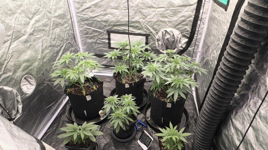 MAC 1 - F1 HYBRID. Week 4