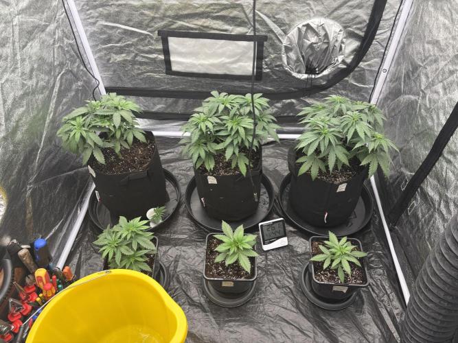 MAC 1. Week 3