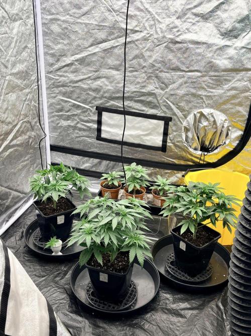 MAC 1. Week 3