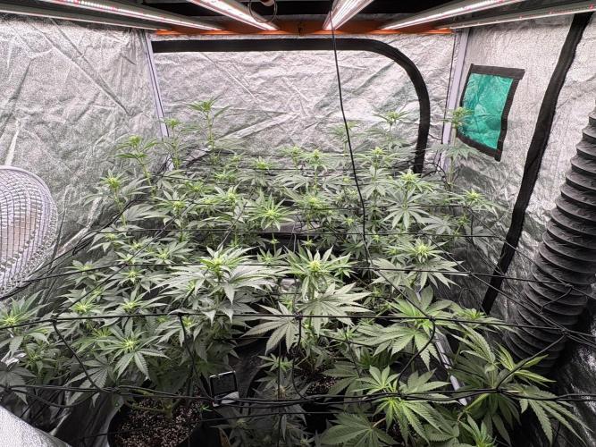 MAC 1. Week 8