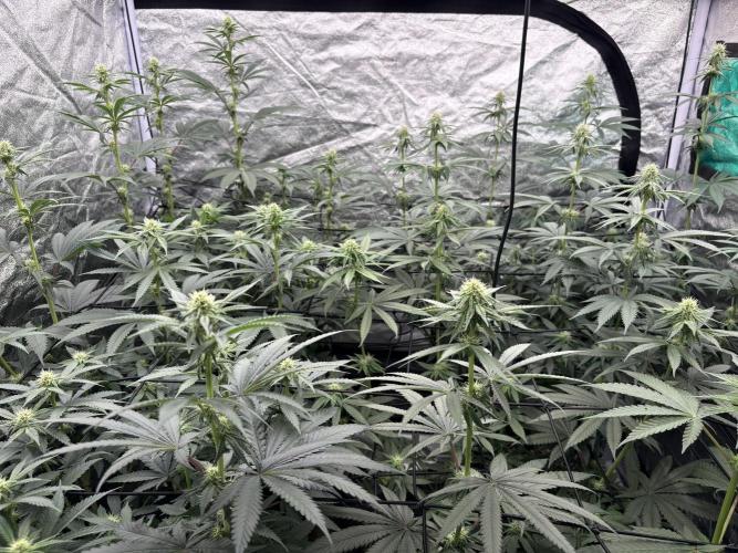 MAC 1. Week 10