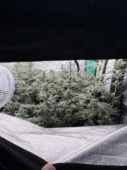 MAC 1. Week 12
