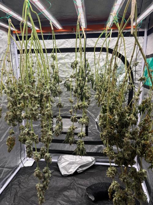 MAC 1. Week 15
