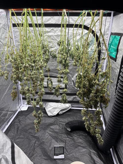 MAC 1. Week 15
