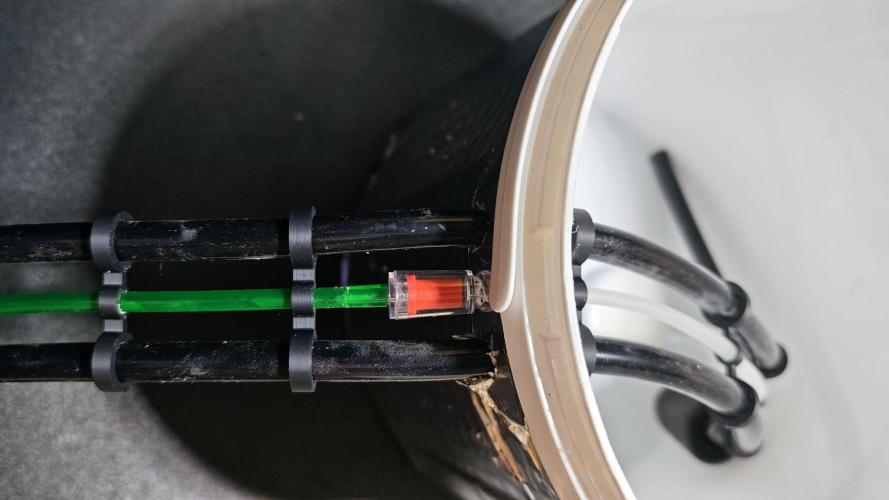 Rainbow Melon – My First Manifold. Week 2