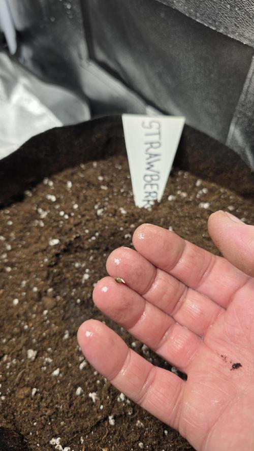 Project#2. Week 0