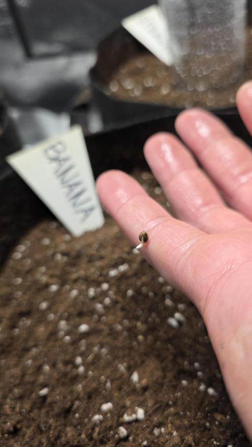 Project#2. Week 0