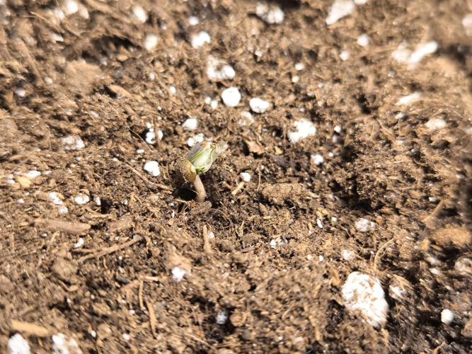 Project#2. Week 0