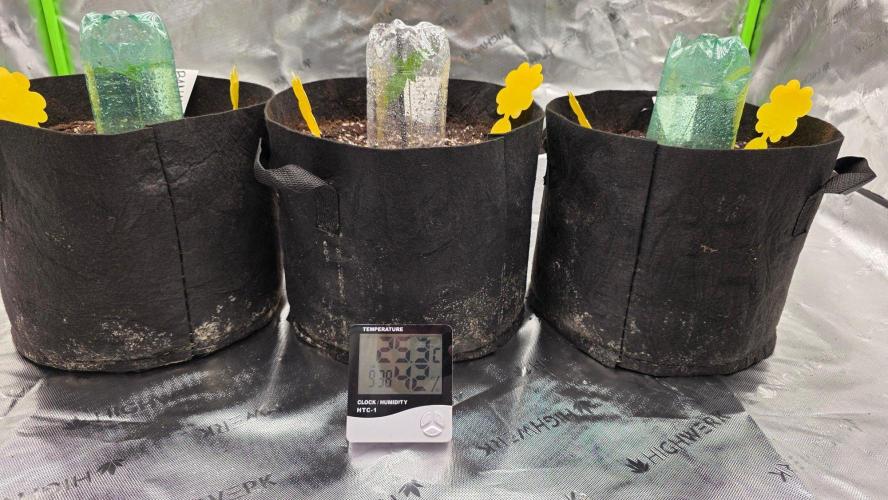 Project#2 (Fruit Gardena). Week 1