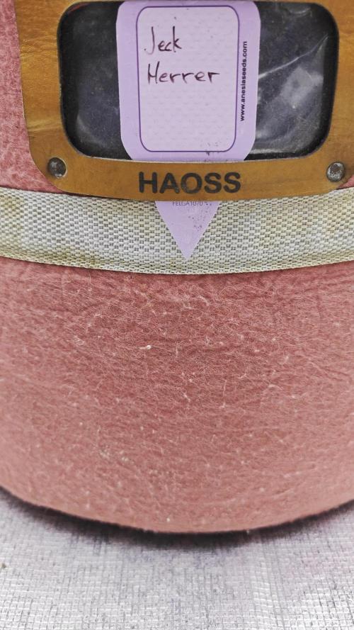 Jack Herer (my first love) old but Gold!