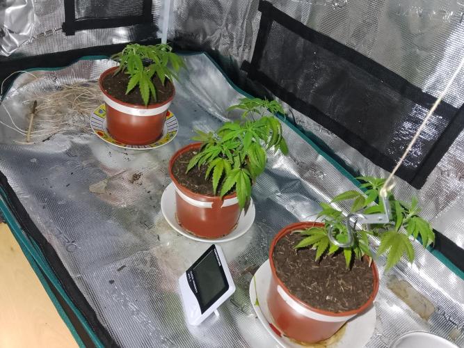 klimafront. Week 1