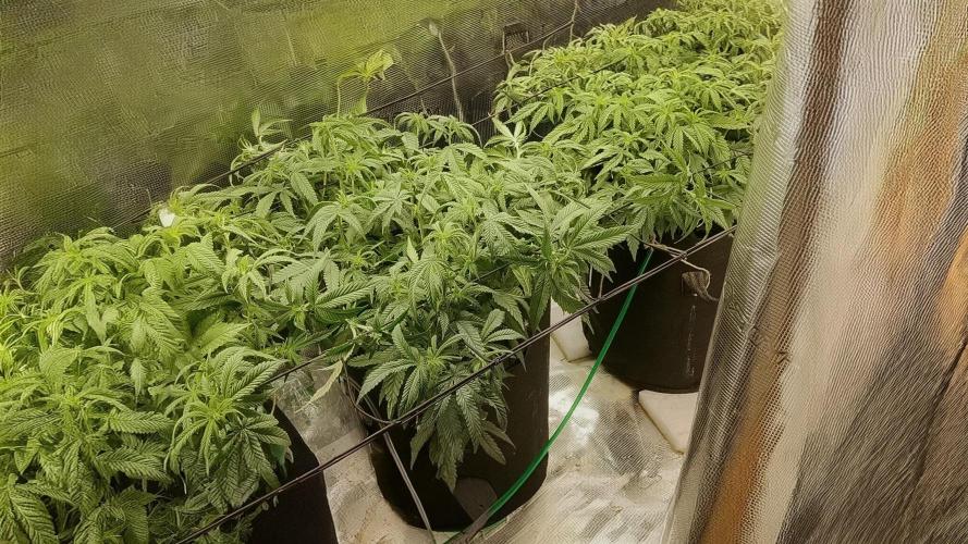 klimafront. Week 4
