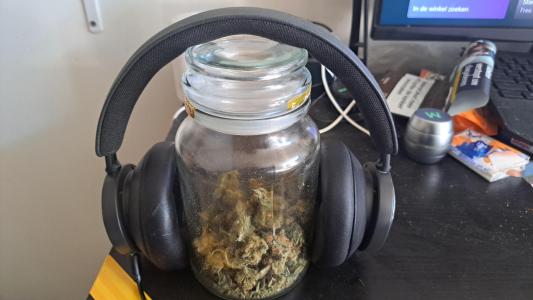 Comment by Homegrower020 photo #1