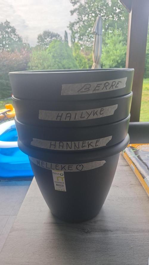 Rise and shine. Week 0 - Potten naar de kinderen en het vrouwke genoemd.
Kan ik ze goed opvolgen😁