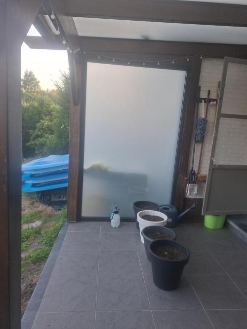 Rise and shine. Week 1 - Planten staan goed beschut en krijgen langs voorkant en bovenkant zonlicht.