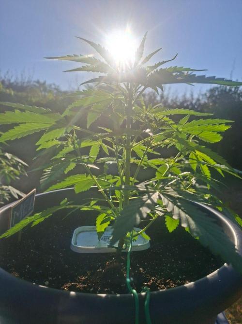 Rise and shine. Week 4 - Goeie morgend😍